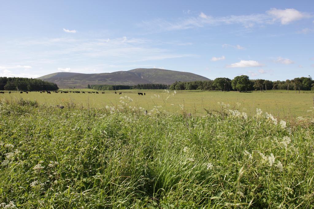 Hotel Tinto Symington (South Lanarkshire)